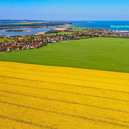 Villa Deichgraf 12 "Meerblick" Бёргеренде-Ретвиш Экстерьер фото